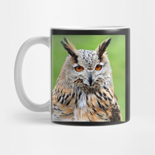 Eurasian Eagle Owl Mug